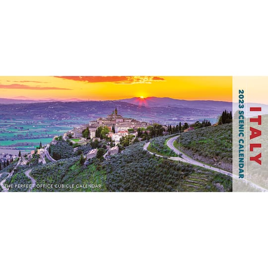 Panoramic Wall Calendar 2025